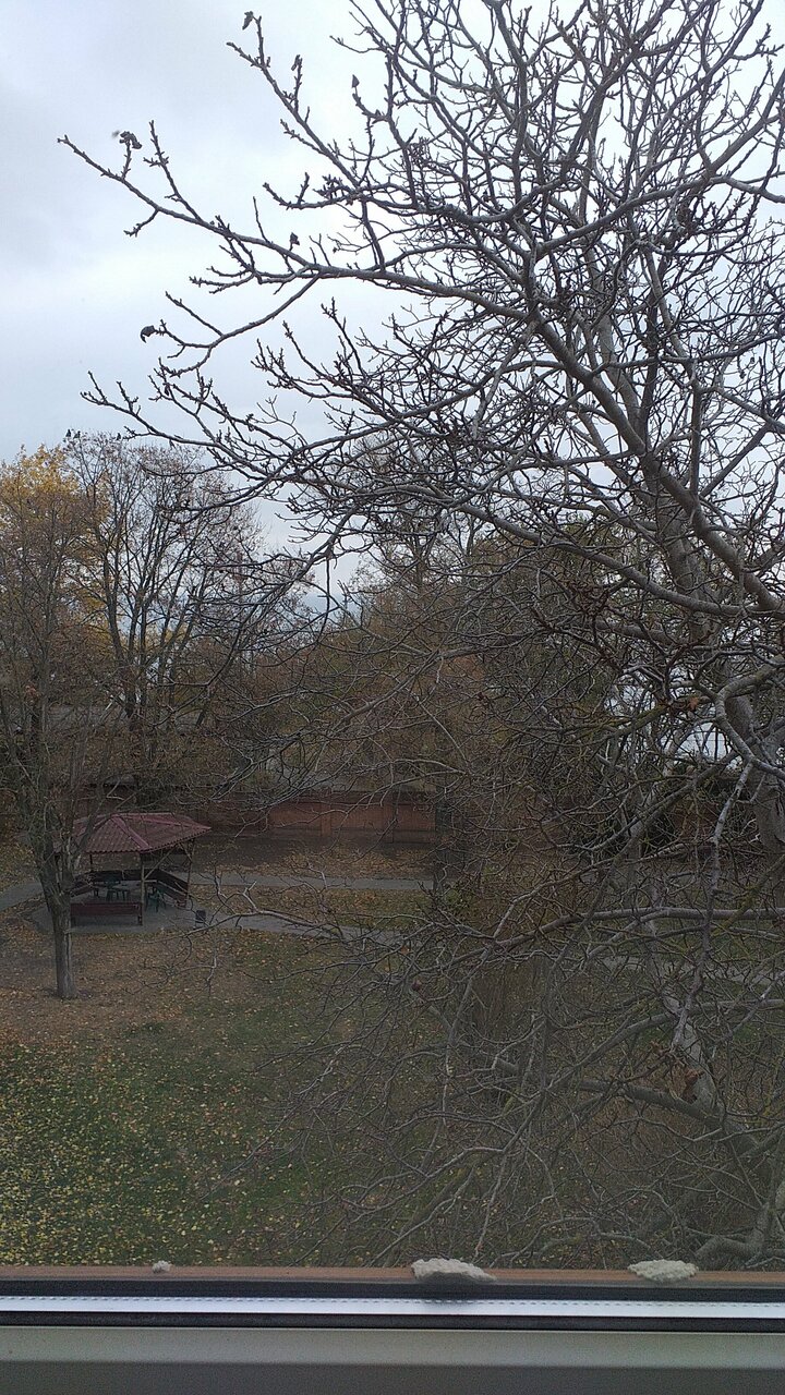 Гостиница Ассоль Таганрог-195