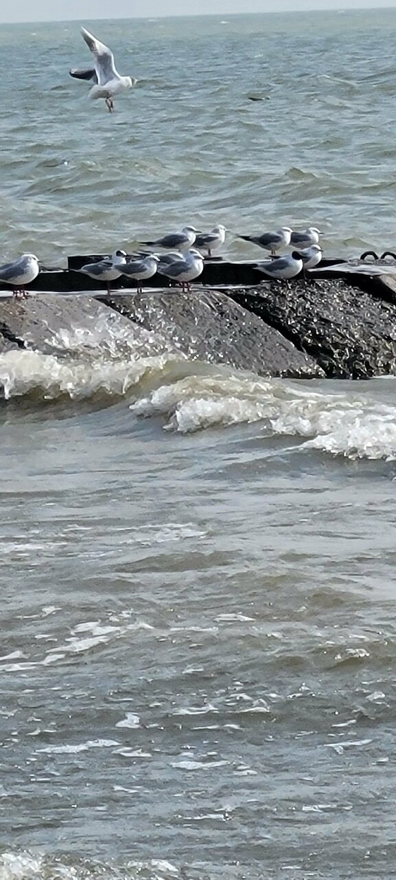 Гостиница Ассоль Таганрог-148