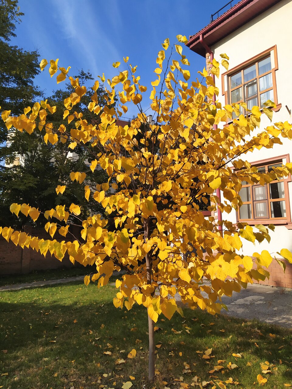 Гостиница Ассоль Таганрог-138