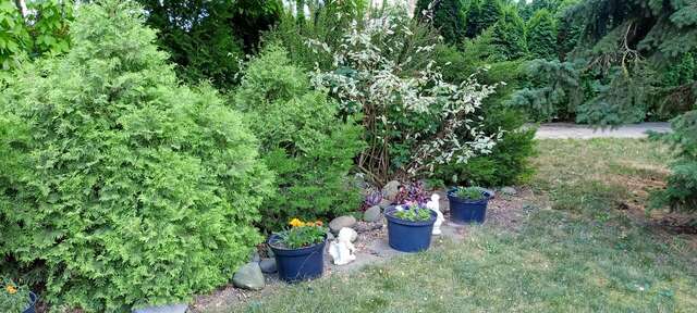 Гостиница Ассоль Таганрог-144