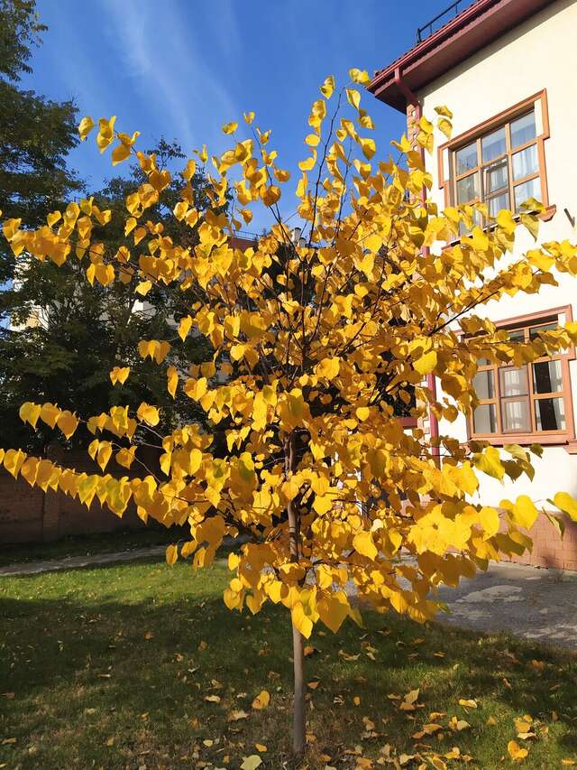 Гостиница Ассоль Таганрог-137